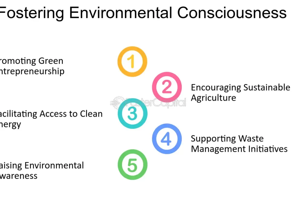 Essay on Environmental Consciousness: How to Foster a Greener Mindset